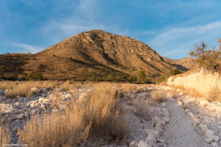 Guadalupe Mountains National Park trail