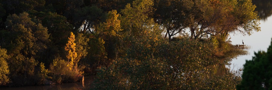 Fall foliage at Inks Lake State Park Texas