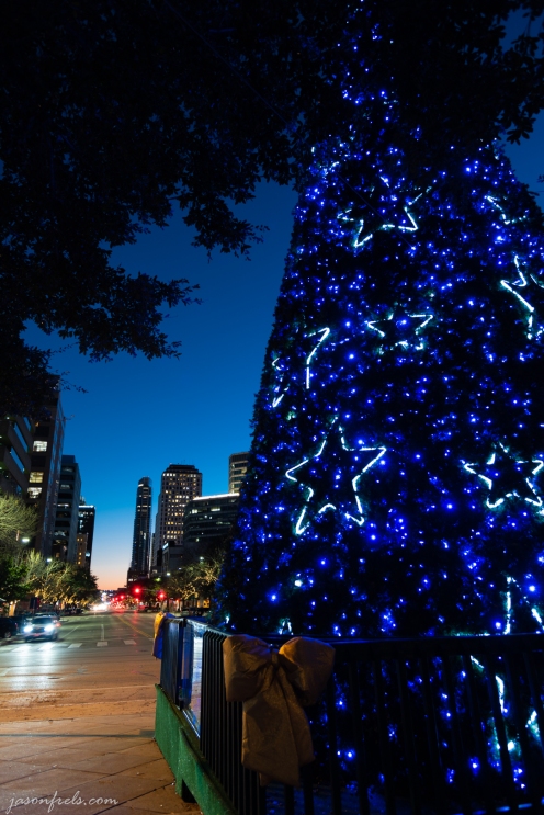 Texas Capitol Christmas Tree in Austin